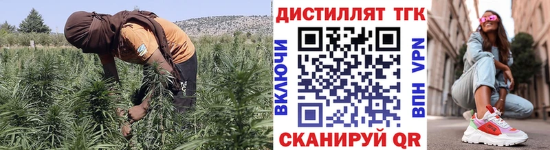 Дистиллят ТГК концентрат  OMG рабочий сайт  Нефтекумск 